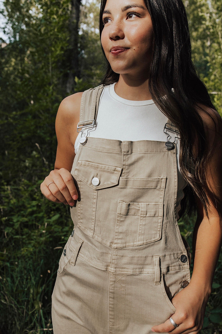 Ledger Distressed Overalls