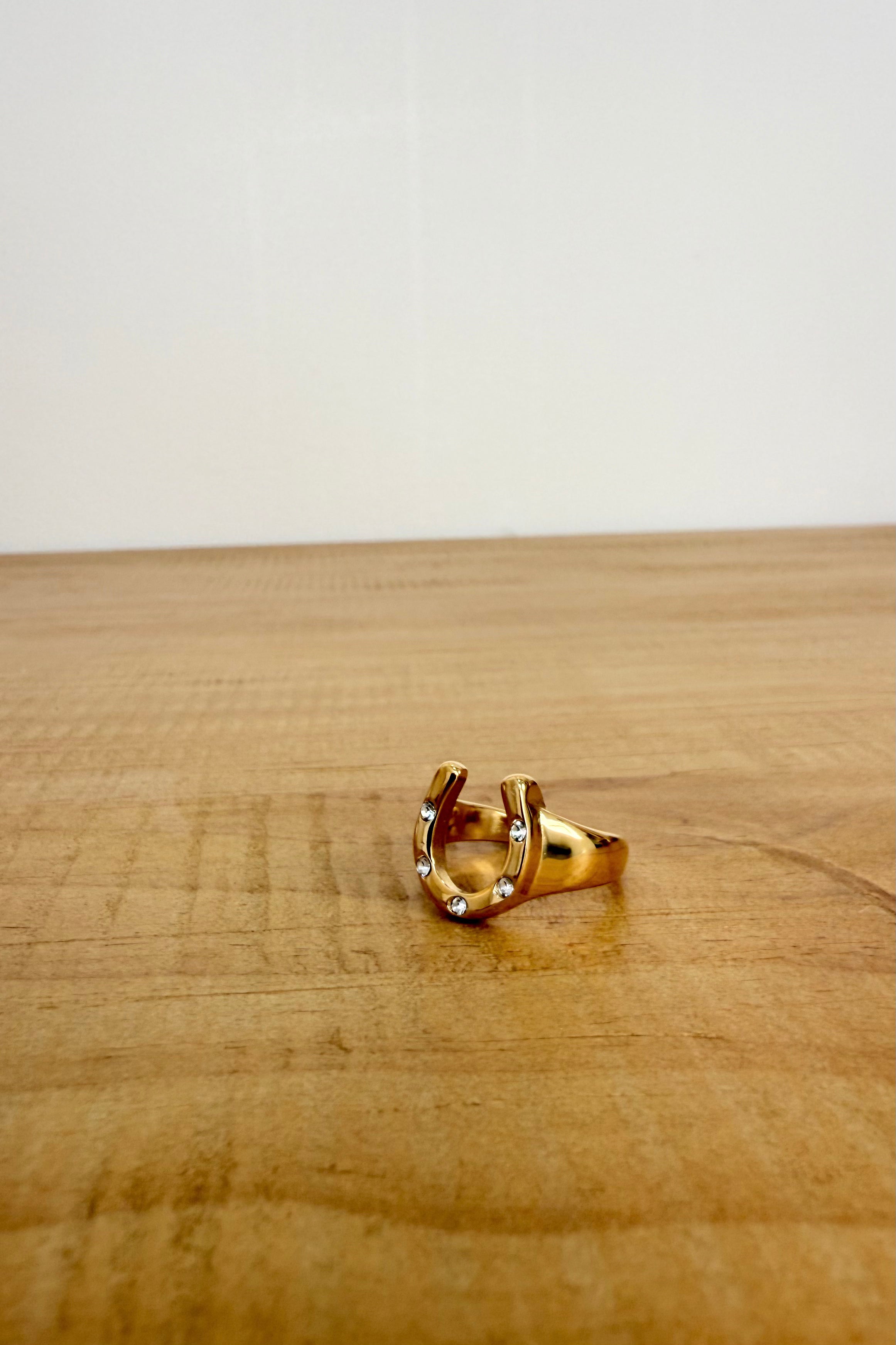 Lucky Break Horseshoe Ring