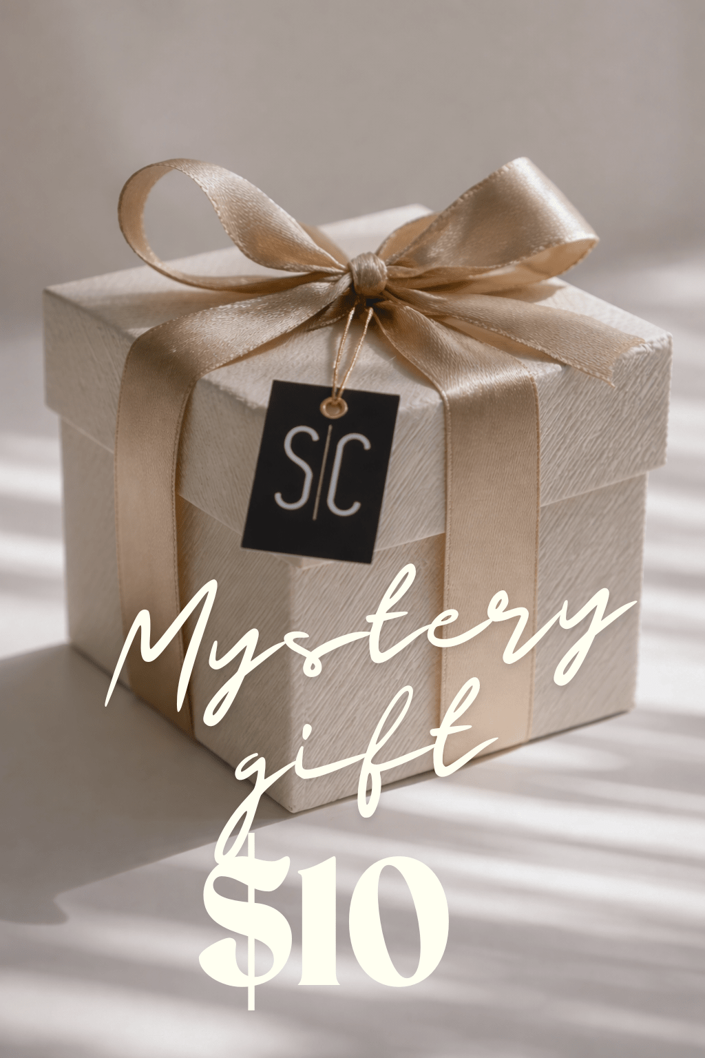 Mystery $10 Item - FINAL SALE